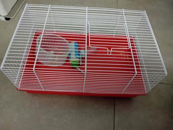 Cage rongeur 45 cm beschikbaar voor biedingen