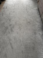 2 tapijten 200x300, Huis en Inrichting, Stoffering | Tapijten en Vloerkleden, Ophalen, Gebruikt, 200 cm of meer, 200 cm of meer