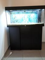 Juwel Rio 180 aquarium met meubel., Dieren en Toebehoren, Ophalen
