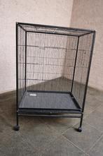Volière / cage rat, Enlèvement, Comme neuf, Métal, Cage à oiseaux