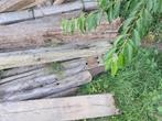 Gratis treinbiels, Ophalen, Akkerbouw, Stalinrichting