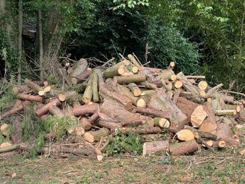 Bois à donner  beschikbaar voor biedingen