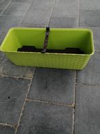 Plantenbak PVC 40 cm lang met waterreservoir, Ophalen of Verzenden, Zo goed als nieuw