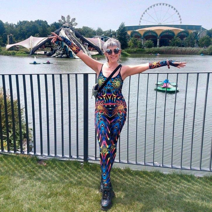 GEZOCHT: 1 dagticket Tomorrowland, Tickets & Billets, Événements & Festivals, Une personne