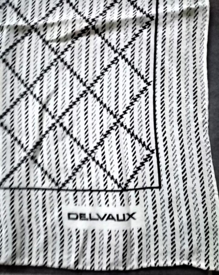 Delvaux zijden sjaal in wit en blauw, Kleding | Dames, Mutsen, Sjaals en Handschoenen, Gedragen, Sjaal, Maat 46/48 (XL) of groter