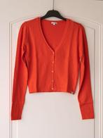 Cardigan, merk Mer du Nord, NIEUW, maat XS, Verzenden, Nieuw, Oranje, Maat 34 (XS) of kleiner