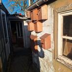 Nestkasten allerlei afmetingen, Dieren en Toebehoren, Geslacht onbekend