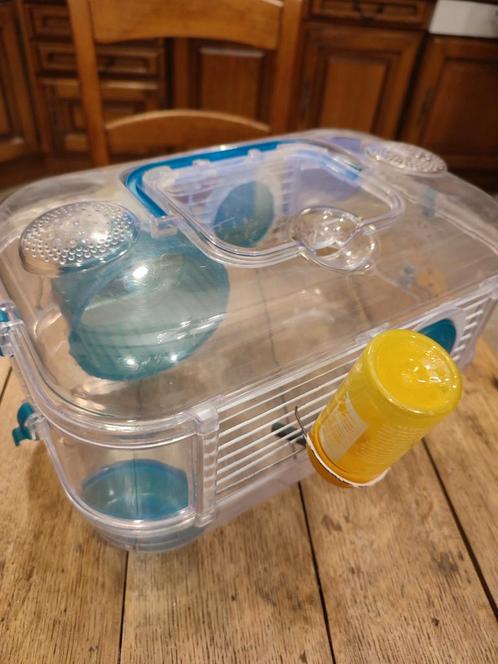 A vendre cage RODY, Dieren en Toebehoren, Knaagdieren en Konijnen | Toebehoren, Gebruikt, Ophalen