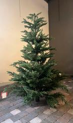 Kerstboom, Ophalen, Zo goed als nieuw