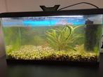aquarium met toebehoren, Dieren en Toebehoren, Ophalen, Gebruikt