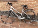 Merckx, 10 tot 15 versnellingen, Overige merken, 26 inch, Gebruikt