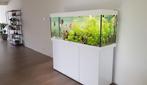 Juwel Rio 450, Dieren en Toebehoren, Vissen | Aquaria en Toebehoren, Ophalen, Gebruikt, Gevuld zoetwateraquarium