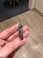 Fossiele Squalodon/potvis tand uit Antwerpen (België), Collections, Minéraux & Fossiles, Enlèvement ou Envoi