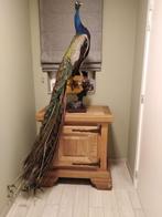 Opgezette pauw, Huis en Inrichting, Woonaccessoires | Overige, Ophalen of Verzenden, Nieuw