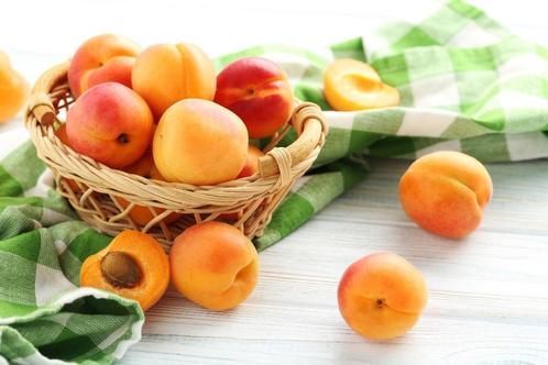 Abrikozen mooie oude soorten, heerlijke vruchten met smaak, Jardin & Terrasse, Plantes | Arbres, Autres espèces, 100 à 250 cm