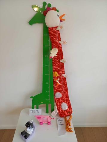 Decoratie: spaarpot, magneetbord, groeimeter, kadertje beschikbaar voor biedingen