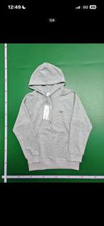 Grijze lacoste trui S, Ophalen, Nieuw, Maat 46 (S) of kleiner, Grijs