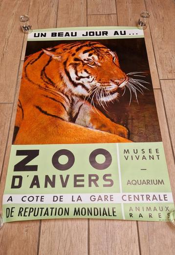 Vintage affiche Zoo Antwerpen - De tijger