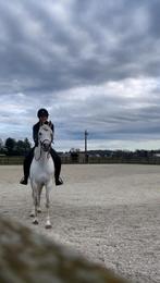 Training voor jouw paard, Dieren en Toebehoren, Zadelmak