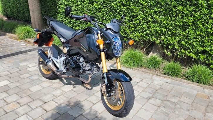 Honda MSX (2015), Motoren, Motoren | Honda, Particulier, Naked bike, 11 kW of minder, 1 cilinder, Minimaal motorrijbewijs A1, Ophalen