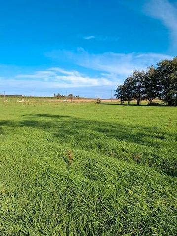 Weiland aarsele 6500m² beschikbaar voor biedingen