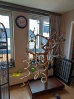 Te koop, Dieren en Toebehoren, Ophalen