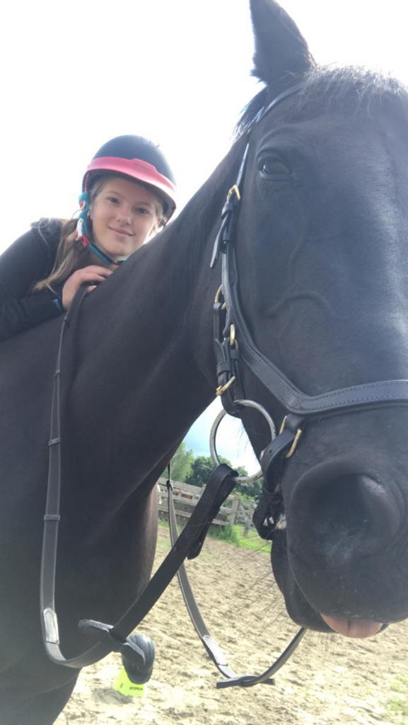 Paardgezocht om op te rijden en de verzorgen, Dieren en Toebehoren, Paarden en Pony's | Verzorgingsproducten, Zo goed als nieuw