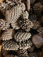 Dennenappels grote doos, Ophalen of Verzenden