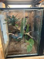 Terrarium, Ophalen, Zo goed als nieuw