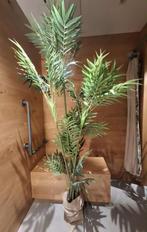 SIERPLANTEN (Palm) GROOT OF KLEIN, Ophalen, Zo goed als nieuw