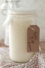 Melk Kefir champagne MelkKefir verse Kefir probiotica, Diversen, Ophalen