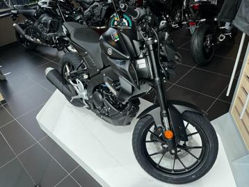 Yamaha MT-125 beschikbaar voor biedingen