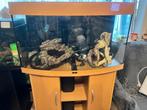 aguarium alles filter decoratie zand 92/32/55, Dieren en Toebehoren, Vissen | Aquaria en Toebehoren, Ophalen of Verzenden, Zo goed als nieuw