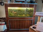 Aquariumkast, Dieren en Toebehoren, Ophalen, Zo goed als nieuw