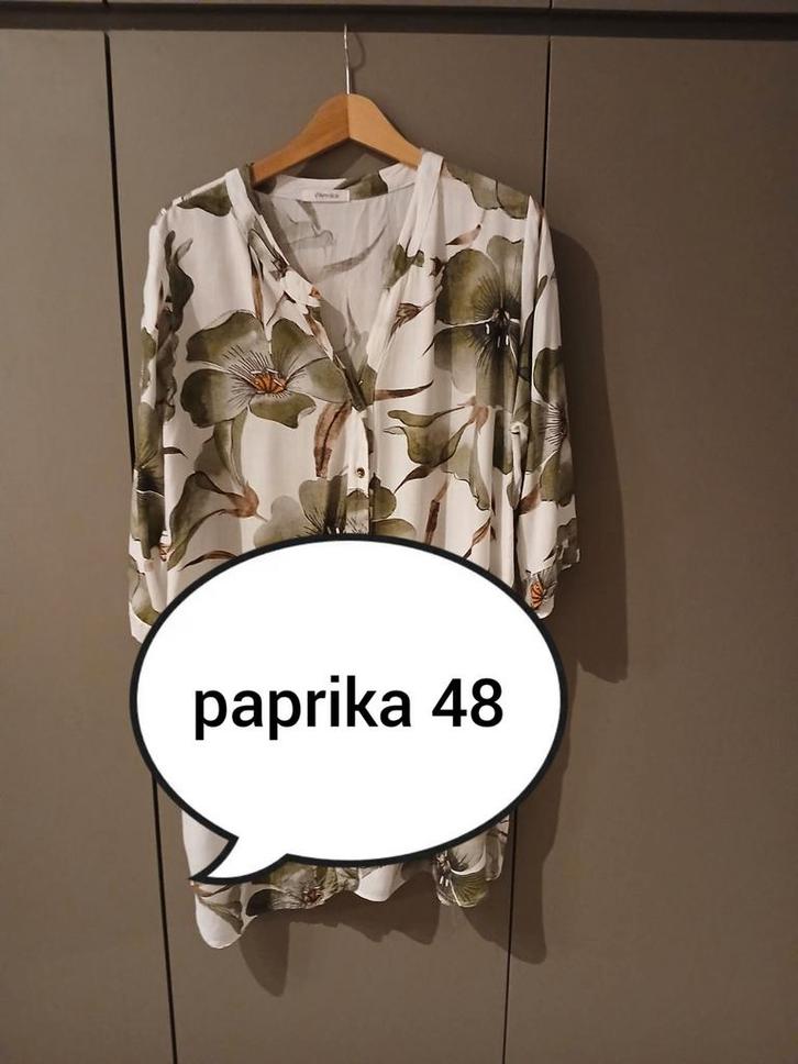 Tuniek paprika 48, Kleding | Dames, T-shirts, Gedragen, Maat 46/48 (XL) of groter, Groen, Lange mouw, Verzenden