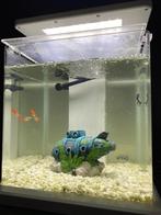 Aquarium, Ophalen, Gebruikt