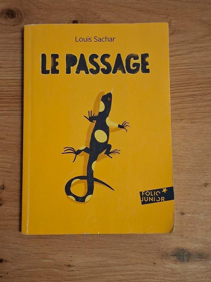 Livre Le Passage de Louis Sachar, Boeken, Kinderboeken | Jeugd | 10 tot 12 jaar, Gelezen, Fictie, Ophalen of Verzenden