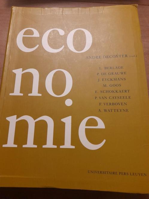 Marluce Goos - Economie, Boeken, Economie, Management en Marketing, Zo goed als nieuw, Ophalen of Verzenden