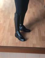 Paardrijchaps + Jodhpurs, Ophalen, Gebruikt, Dames, Schoeisel