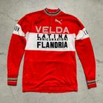 Flandria-Velda-Latina 1977 Maertens koerstrui wielertrui wol, Fietsen en Brommers, Fietsaccessoires | Fietskleding, Ophalen of Verzenden