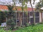 Voliere uit panelen 5m x 2m x 2m, Ophalen, Zo goed als nieuw
