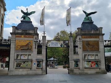 Antwerpen Zoo tickets 4 x, Trois personnes ou plus, Ticket ou Carte d'accès