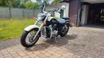 Honda Shadow 750 ACE, 12 à 35 kW, Particulier, 2 cylindres, 750 cm³