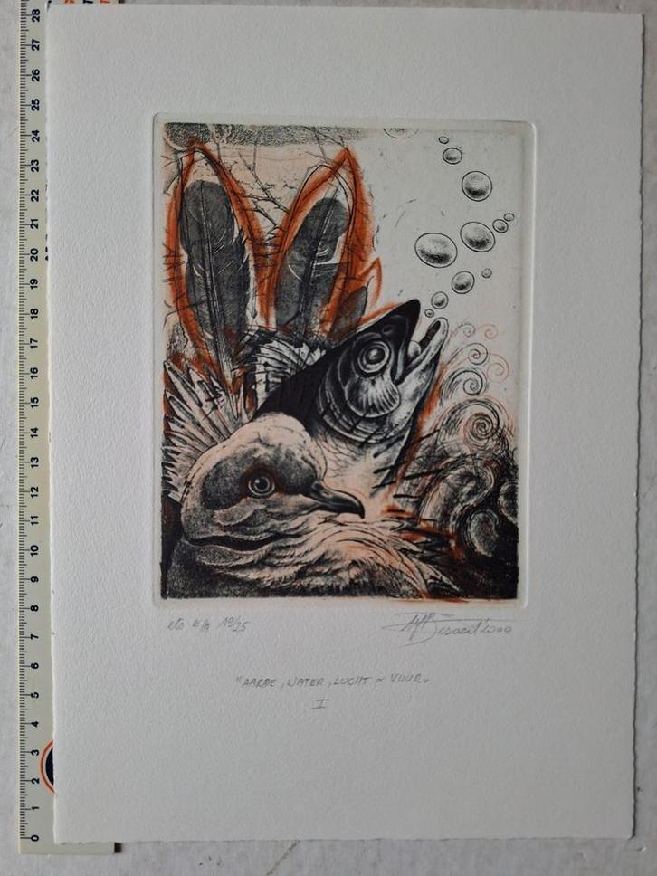 Fraaie kleurets Hugo Besard "Aarde, water, lucht & vuur I", Antiek en Kunst, Kunst | Etsen en Gravures, Ophalen of Verzenden