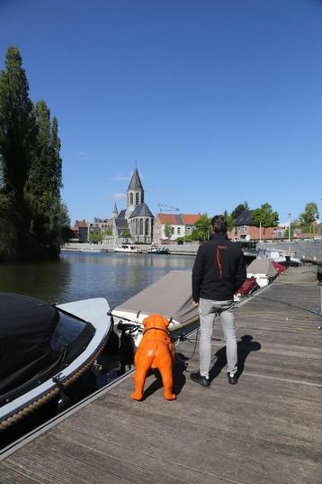 Gezocht: Steigermedewerker beschikbaar voor biedingen