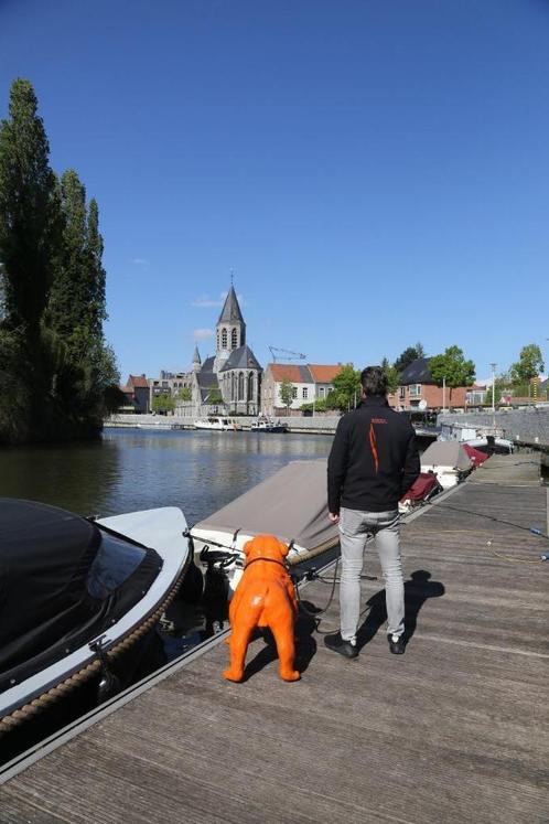 Gezocht: Steigermedewerker, Diensten en Vakmensen, Verhuur | Boten