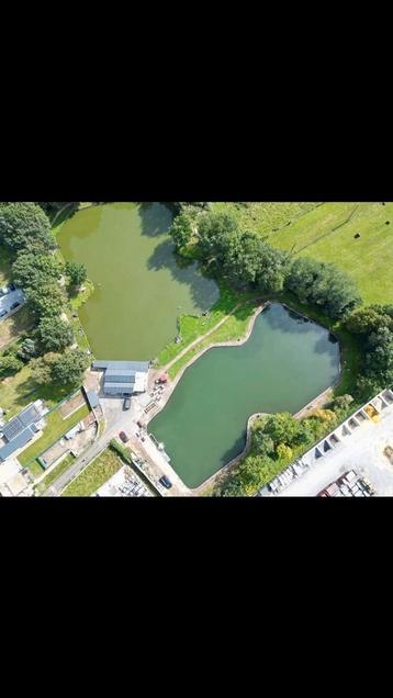 Complex met karpervijver en forelvijver beschikbaar voor biedingen