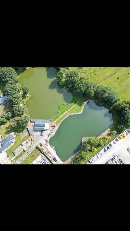 Complex met karpervijver en forelvijver, Immo, Huizen en Appartementen te koop, Provincie Limburg, 1500 m² of meer, Overige soorten