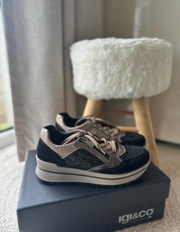 Chaussures baskets IGI&CO beschikbaar voor biedingen