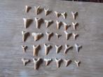 Formidable lot 30 dents de requins FOSSILES.ORIGINE DU TOGO., Collections, Enlèvement ou Envoi, Fossile